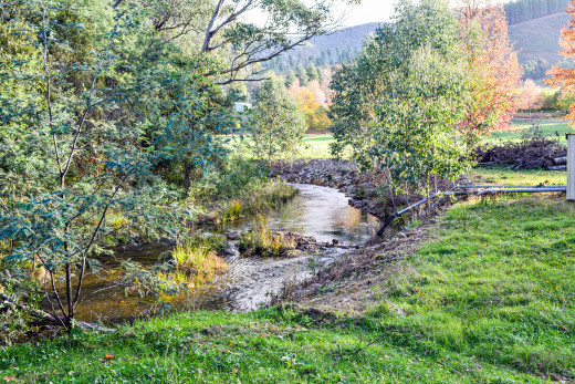 1201073 (a): :2048x1365